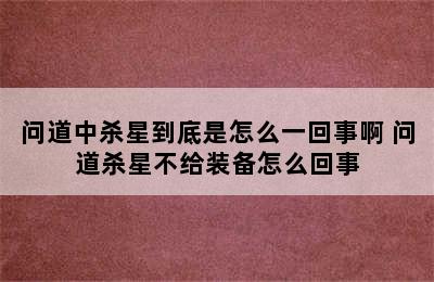 问道中杀星到底是怎么一回事啊 问道杀星不给装备怎么回事